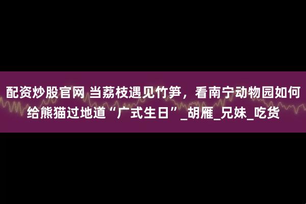 配资炒股官网 当荔枝遇见竹笋，看南宁动物园如何给熊猫过地道“广式生日”_胡雁_兄妹_吃货