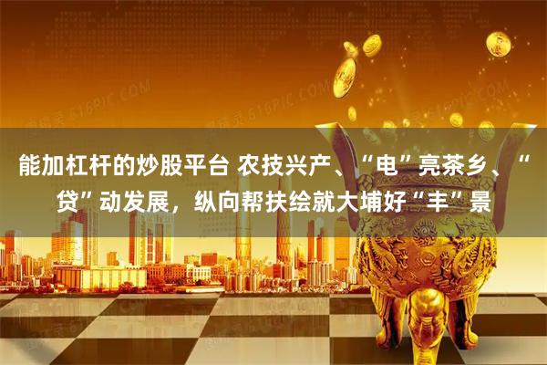 能加杠杆的炒股平台 农技兴产、“电”亮茶乡、“贷”动发展，纵向帮扶绘就大埔好“丰”景